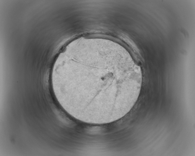 X0000111940058200909071308