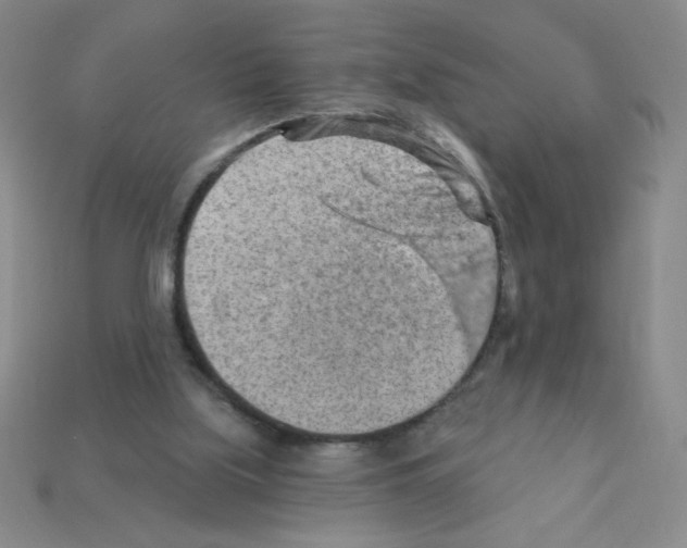 X0000111940059200909071308