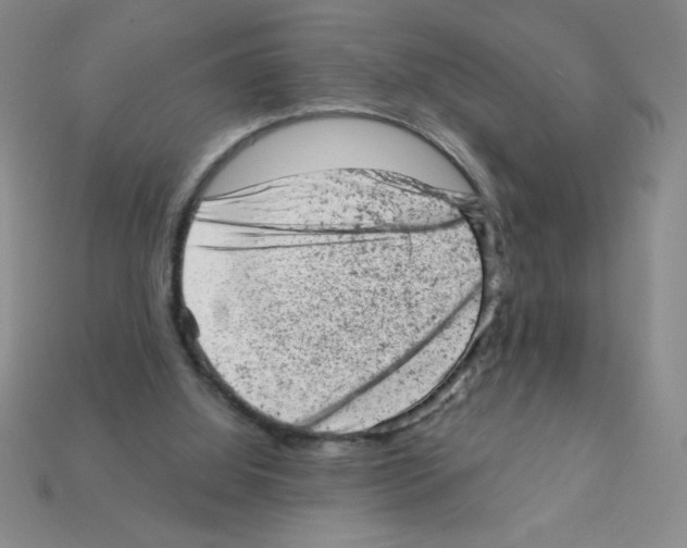 X0000111940060200909071308