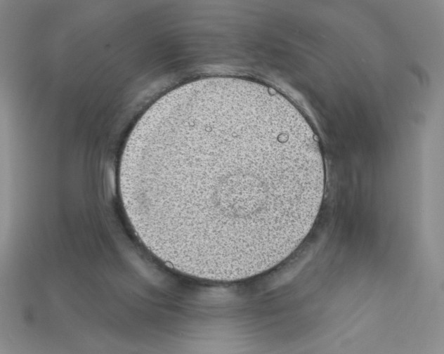 X0000111940061200909071308