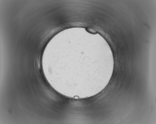 X0000111940062200909071308