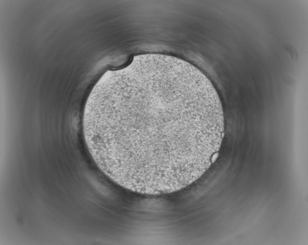 X0000111940063200909071308