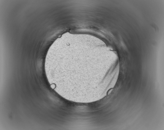 X0000111940066200909071308