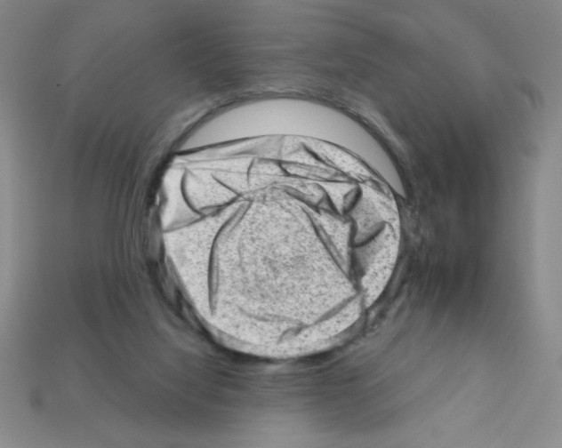 X0000111940068200909071308
