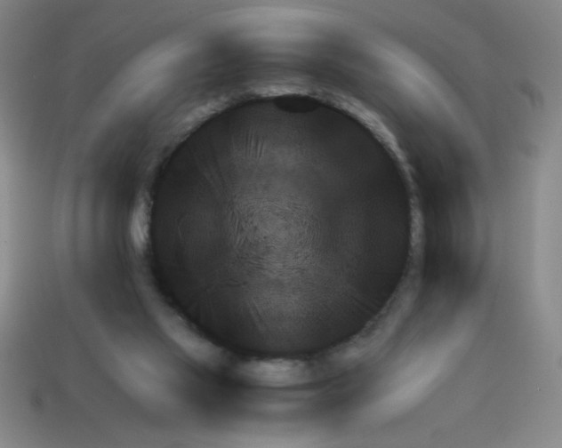 X0000111940069200909071308
