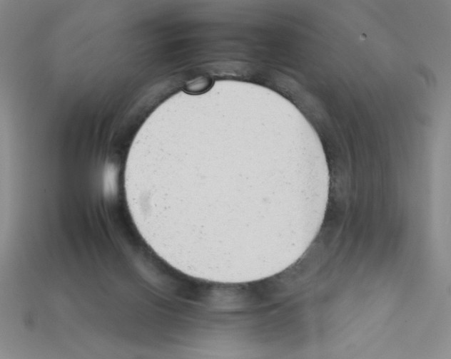 X0000111940070200909071308