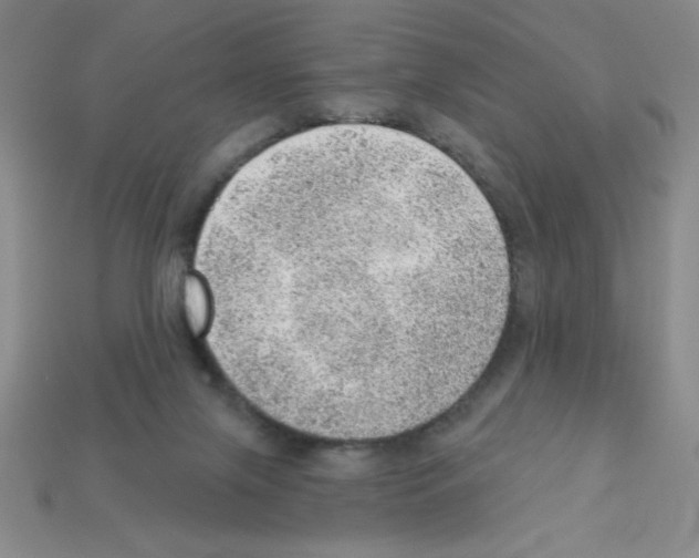 X0000111940071200909071308
