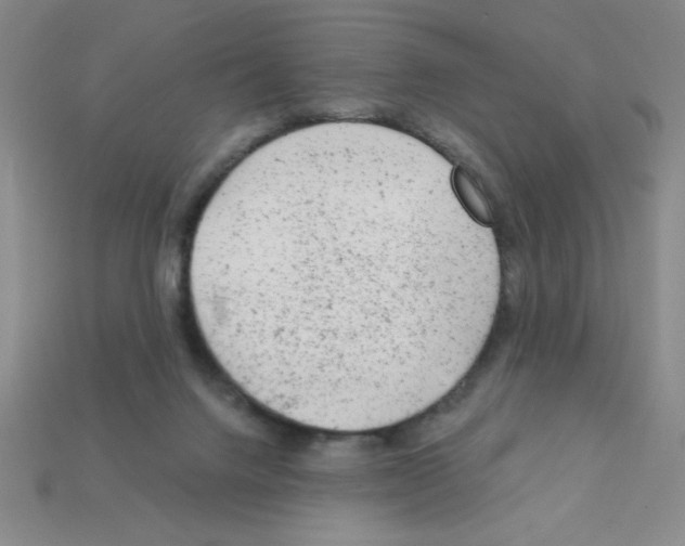 X0000111940072200909071308