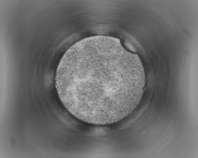 X0000111940073200909071308