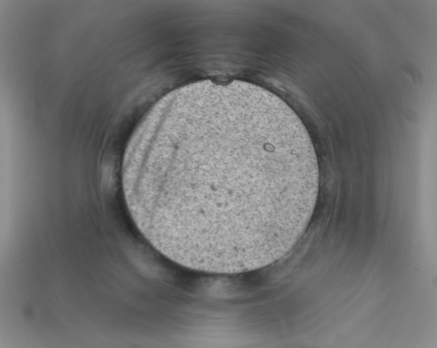 X0000111940074200909071308
