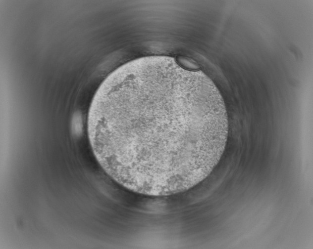 X0000111940075200909071308