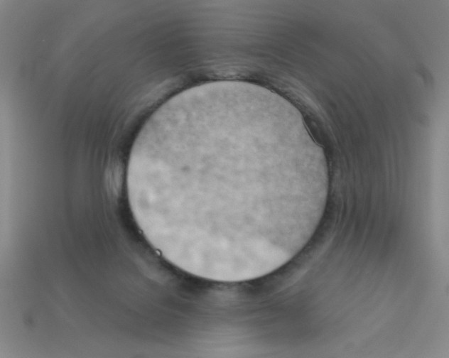 X0000111940076200909071308
