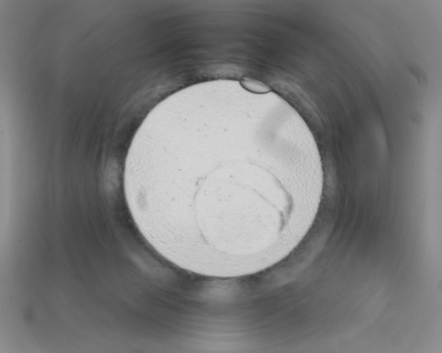 X0000111940077200909071308