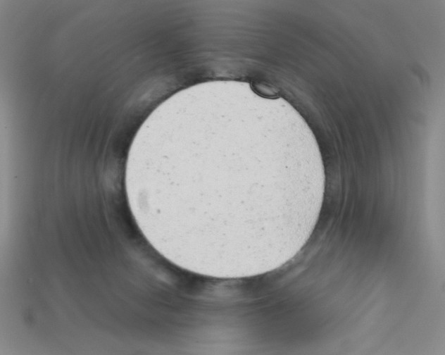 X0000111940078200909071308