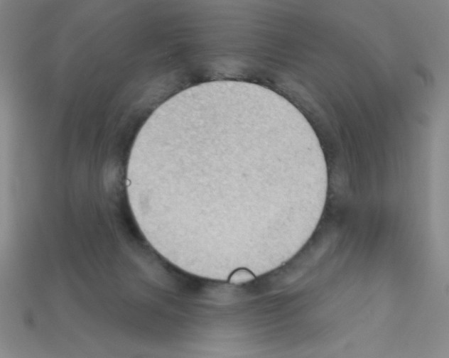 X0000111940079200909071308
