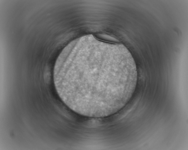 X0000111940080200909071308
