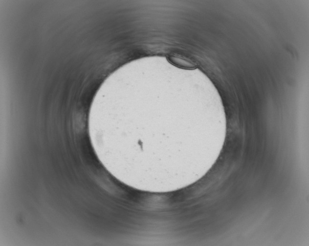 X0000111940081200909071308