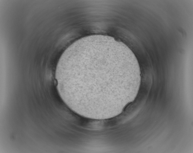 X0000111940084200909071308