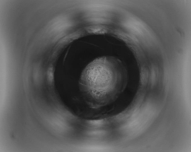 X0000111940085200909071308