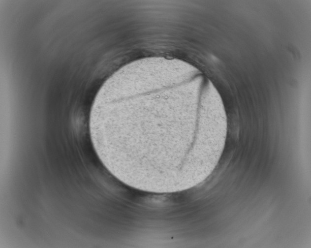 X0000111940086200909071308