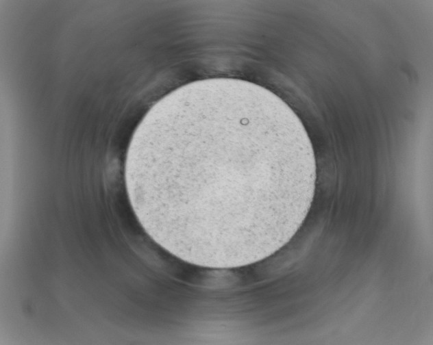 X0000111940087200909071308