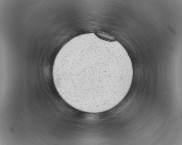 X0000111940088200909071308