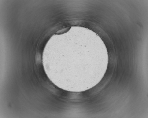 X0000111940089200909071308