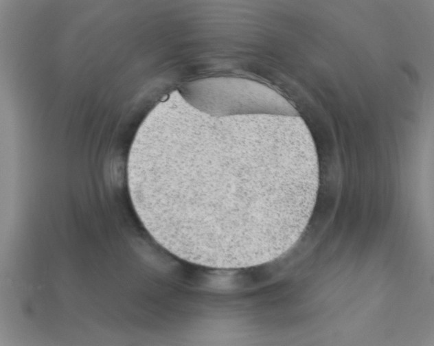 X0000111940090200909071308