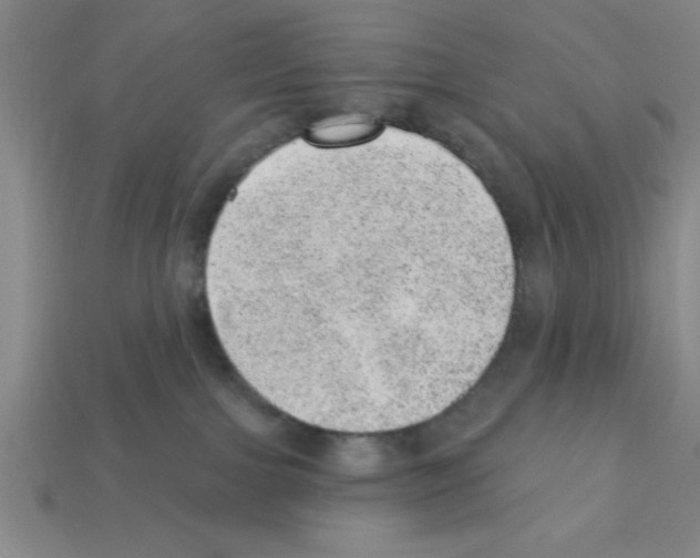 X0000111940091200909071308