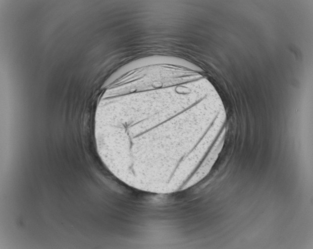 X0000111940092200909071308