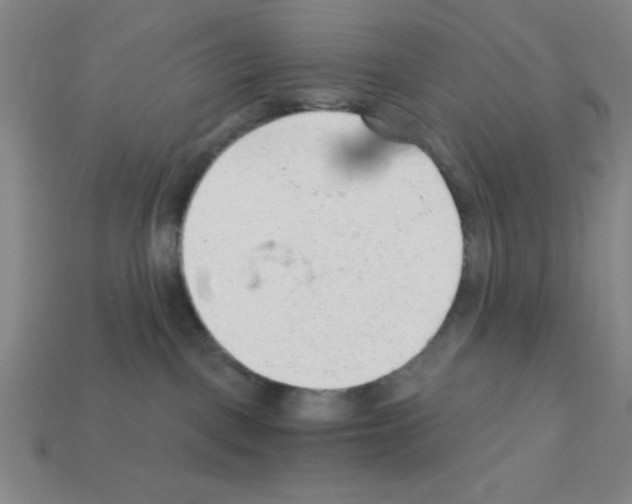 X0000111940093200909071308