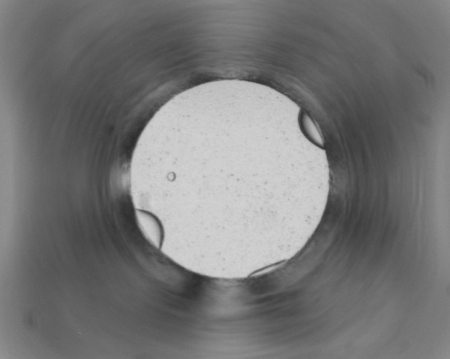X0000111940095200909071308