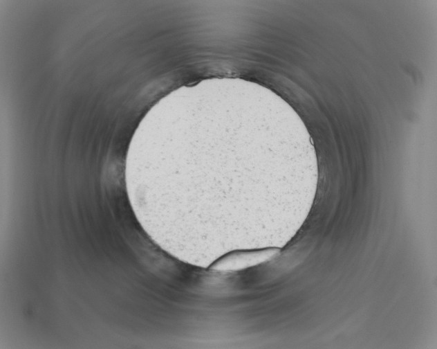 X0000111940096200909071308