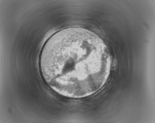 X0000111940099200909071308