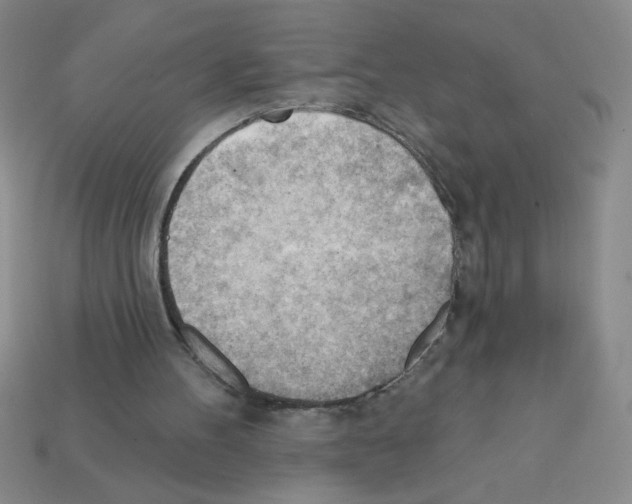 X0000111940100200909071308