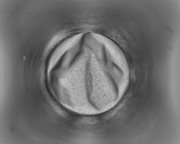 X0000111940101200909071308