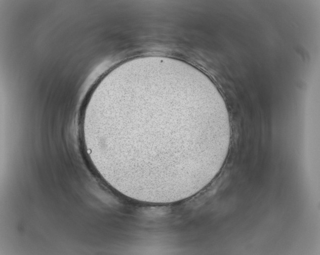 X0000111940102200909071308