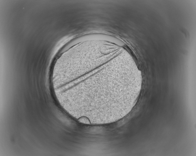 X0000111940104200909071308