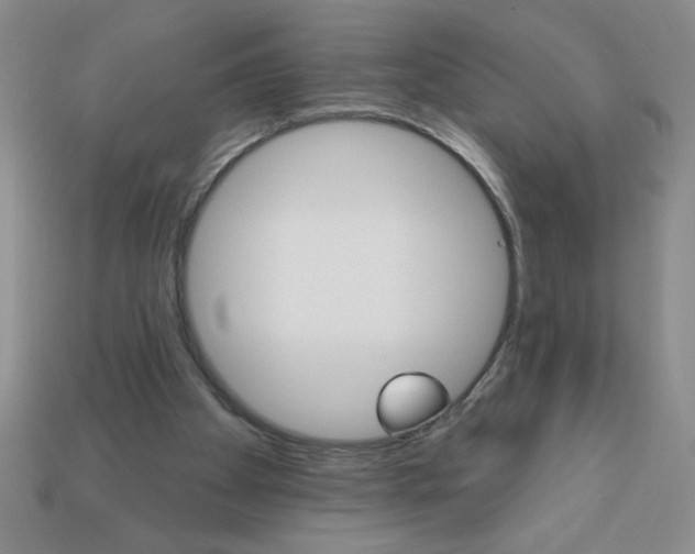 X0000111940105200909071308