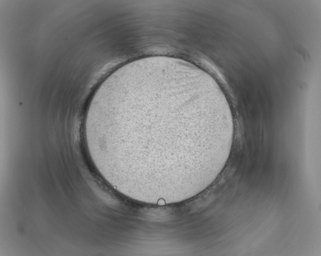 X0000111940106200909071308