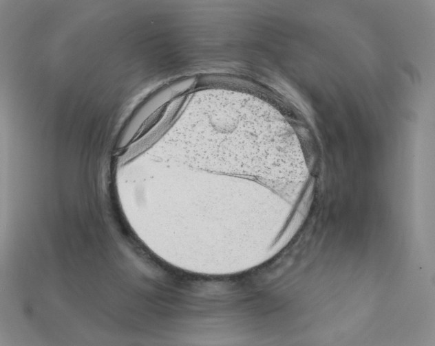 X0000111940107200909071308