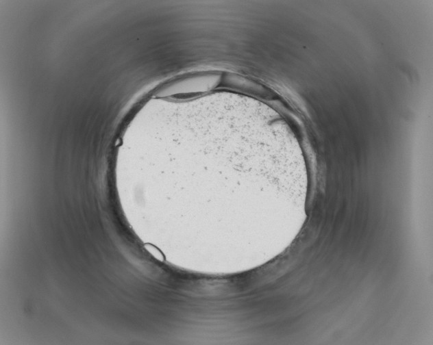 X0000111940108200909071308