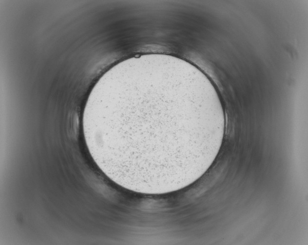 X0000111940109200909071308