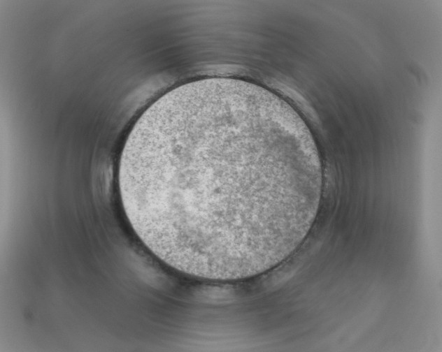 X0000111940110200909071308