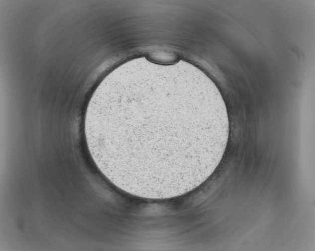 X0000111940111200909071307