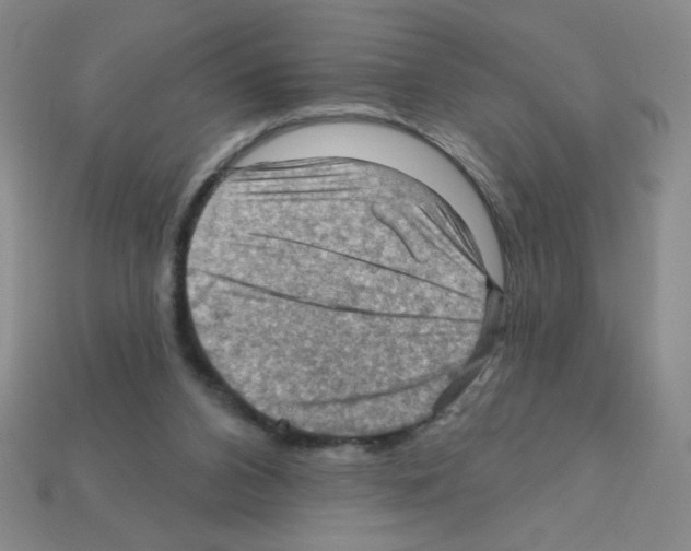 X0000111940112200909071307