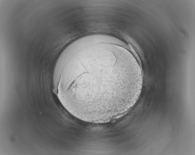 X0000111940113200909071307