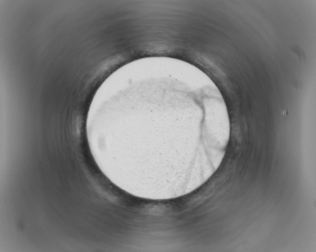 X0000111940115200909071307