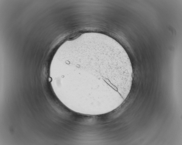 X0000111940116200909071307