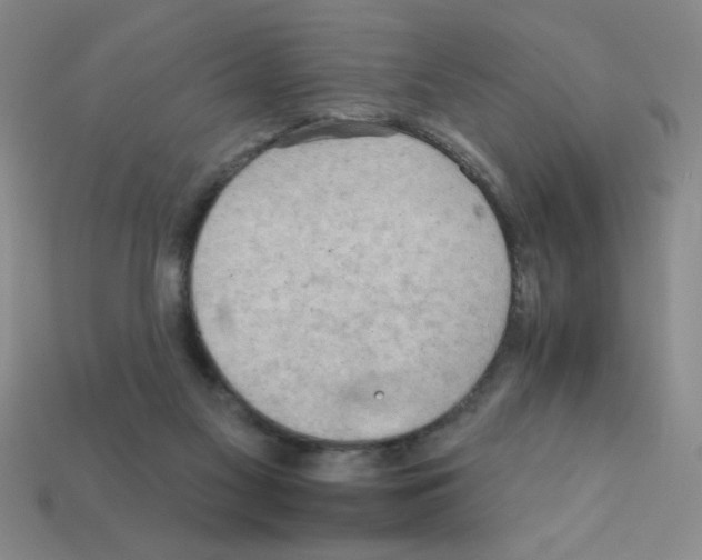 X0000111940117200909071307